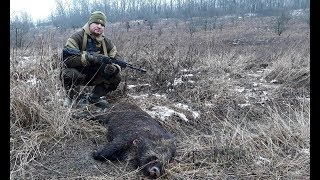 Крутая загонная охота (БЕЗ ЦЕНЗУРЫ!!!) Охота в России / #Охота / #Hunter / #Hunting