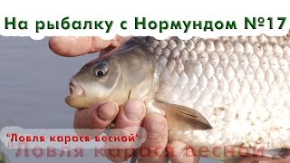 Ловля карася весной : На рыбалку с Нормундом #17