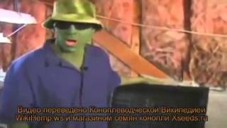 I Grow Chronic   Руководство по выращиванию марихуаны на русском языке
