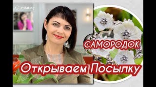 САМОРОДОК☀️ОТКРЫВАЕМ ПОСЫЛКУ?ЮВЕЛИРЫ САНКТ ПЕТЕРБУРГА?ОригиНальНые МоДеЛи✨НаТуРаЛьНые ВСТаВКи??