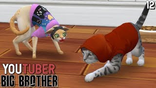 YOUTUBERS AS CATS - YouTuber Big Brother Season 3 Episode 12 - The Sims 4
