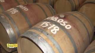 Raboso Piave 15-18 il vino che celebra la Grande Guerra