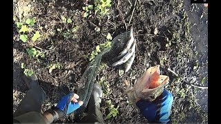 Рыбалка на Волге 2019 г.9й день. Енотаевский район.
