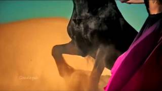Sting - Desert Rose original song