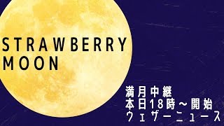 ストロベリームーン　満月ライブカメラ　ウェザーニュース