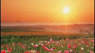 W.A. Mozart - Larghetto from Piano Concert No. 27
