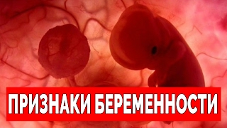 ПЕРВЫЕ ПРИЗНАКИ БЕРЕМЕННОСТИ