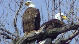 Beautiful Minnesota Land of 10,000 Lakes NATURE watch in HD Full Screen