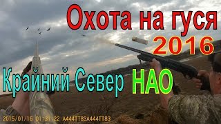 ОХОТА НА ГУСЯ. 2016. Весна. Крайний Север. НАО.