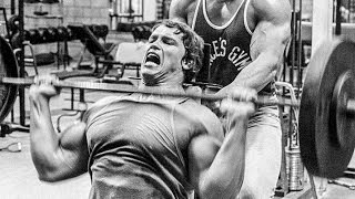 How strong was Arnold Schwarzenegger?