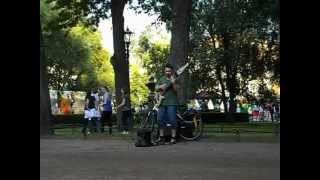 Уличный музыкант (СПб Александровский Сад)