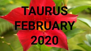 Taurus Tarot February 2020 ?? A WISH COME TRUE! ? Clairvoyant Psychic Tarot Card Reading ?