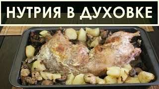 Рецепт приготовления нутрии в духовке - в сметане с картошкой и грибами