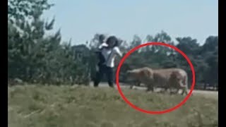 Tips On Surviving Wild Animal Attacks