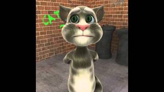 Cat - (O-Zone - Dragostea din tei)
