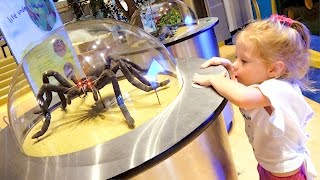 Детский музей науки - Развлечения для детей / Children's Museum Kids Pretend Play