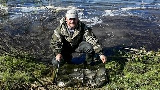 РЫБАЛКА НА АХТУБЕ (МАЙ 2015)