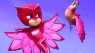Pyjamasque Français | Amis des Oiseaux ? | Nouvelle Compilation | Dessin Animé #135
