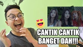 TWICE - DANCE THE NIGHT AWAY MV REACTION ( KONSEP SEXY!!! )