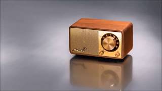 Mozart portable wireless Bluetooth FM radio speaker