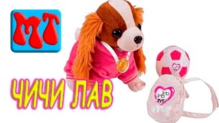 Собака ЧИЧИ ЛАВ! Chi Chi Love! 68с