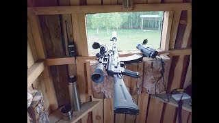 охота на кабана с Сайгой ТГ-2 часть1