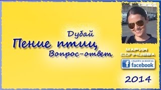 Поют ли птицы в Дубае?