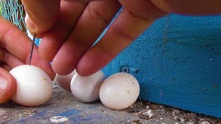 Как я завершаю выводной сезон!?