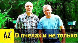 Немецкий матковод Михаил Дуран (DE): о жизни и пчелах в Германии