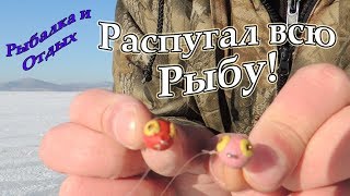 Рыбалка в Устьях Петровке Шкотово Речице! Рыбы Нет!