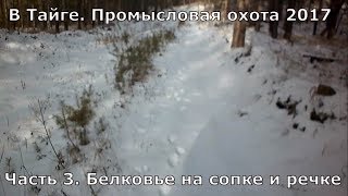 В Тайге. Промысел 2017.  Часть 3. Белковье на сопке и речке.