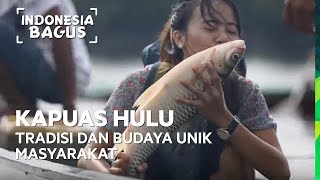 Tradisi dan Budaya Unik Masyarakat Kapuas Hulu - Indonesia Bagus