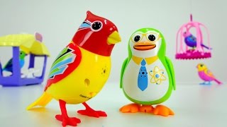 Toys: интерактивные поющие птички DigiBirds и пингвин - для детей