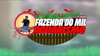 DIÁRIO DE UM AQUÁRIO [DIA 9]