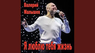 Старый клён