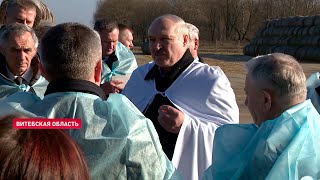 Лукашенко: Картошку продал тихонько и сижу, курю! А молоком, мясом кто будет заниматься?