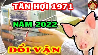 Tử Vi 2022 Vận Mệnh Tuổi Tân Hợi 1971 Sẽ Ra Sao? May Mắn, Giàu CÓ Hay Vận Hạn Thế Nào?
