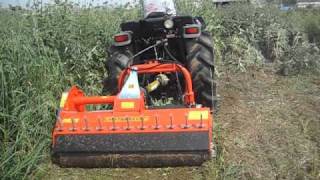 LS TRACTOR R50 ( ΠΑΟΥΡΗΣ )