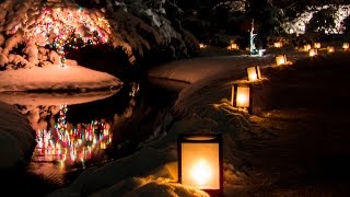 A Night So Cold (album: Distant Horseman)