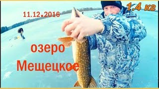 озеро Мещецкое 11.12.2016 ЛОВЛЯ ЩУКИ НА ЖЕРЛИЦЫ рыбалка в Беларуси РЫБАЛКА В ВИТЕБСКОЙ ОБЛАСТИ