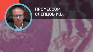 Профессор Слепцов И.В.: Диагностика и лечение первичного гиперпаратиреоза