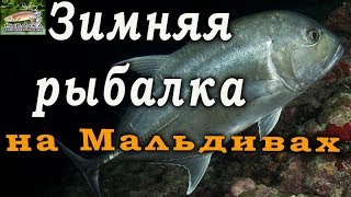 Зимняя рыбалка на Мальдивах 2020 г. Рыбалка в Индийском океане.