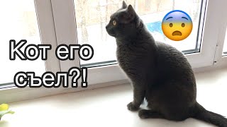 Сбежал хомяк [2018]