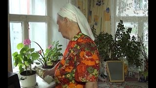 Гарденотерапия для пенсионеров Троицка