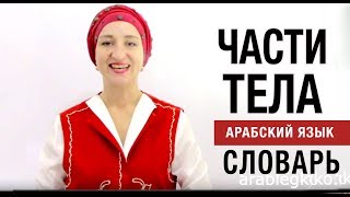 №1 Части тела. Видео словарь. Арабский язык.