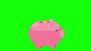Money Pig/Деньги свинья: футаж на хромакее