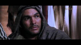 The Bible Series - Paul