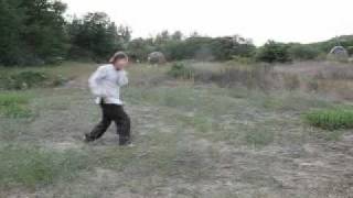 Динцзы Багуа чжан. Фрагменты формы.