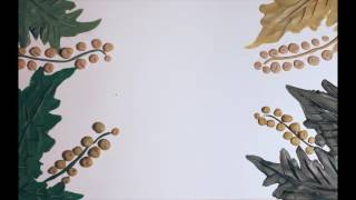 Крапивна 2016. Мультфильм
