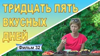 Последняя дегустация  Фильм 32